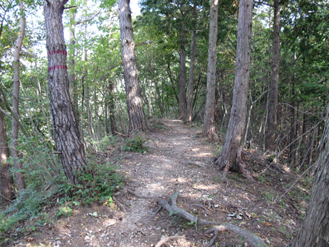 20151014hike (168)